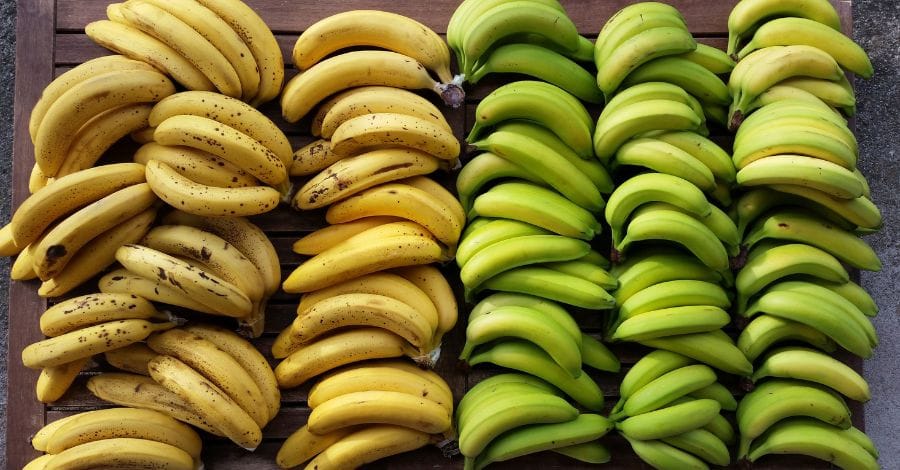 Os benefícios da banana para a saúde: Conheça 7 deles!